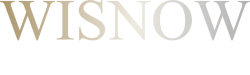 logo wisnow profess